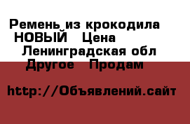   Ремень из крокодила  / НОВЫЙ › Цена ­ 67 000 - Ленинградская обл. Другое » Продам   